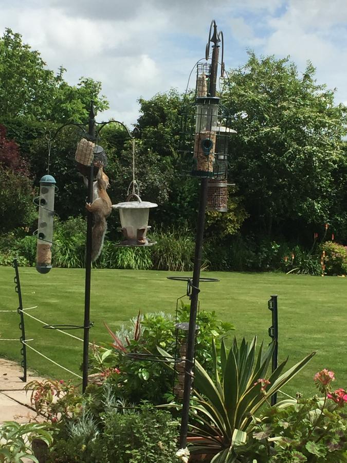 Castle Farmhouse Bed And Breakfast Glenfield Esterno foto